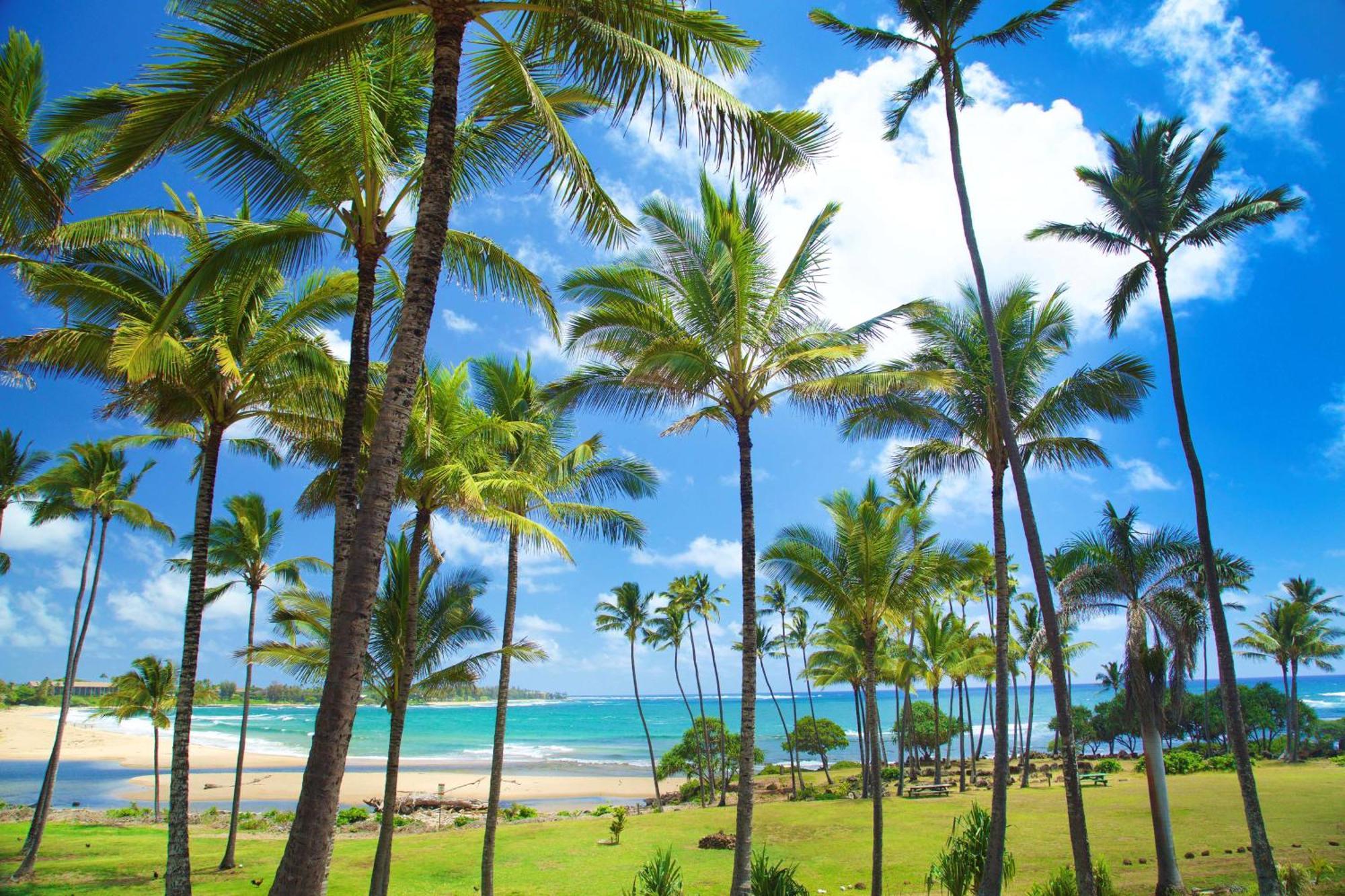 Hilton Garden Inn Kauai Wailua Bay, Hi Kapa'a Exteriör bild
